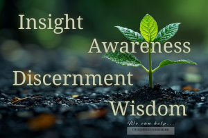 Grow in awareness, insight, discernment and wisdom.